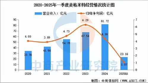 2025年中國AI服務(wù)器電源行業(yè)市場前景預(yù)測研究報告（簡版數(shù)據(jù)處理服務(wù)）